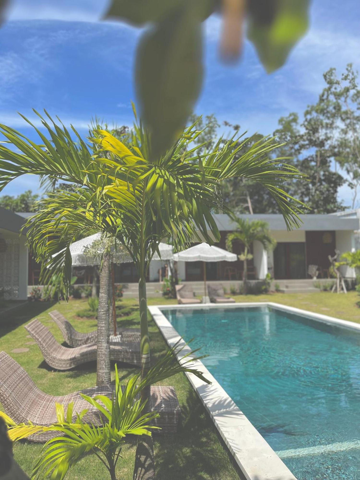 Hotel Tropical Almond